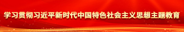 屌射精进屄视频学习贯彻习近平新时代中国特色社会主义思想主题教育